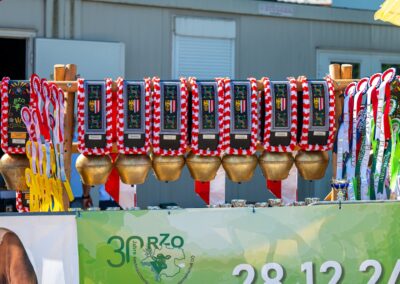 Rinderzucht Vorführung