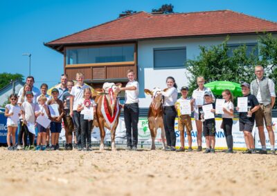 Rinderzucht Vorführung