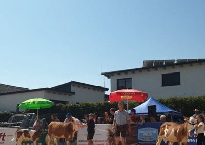 Vorführwettbewerb Jungzuechte