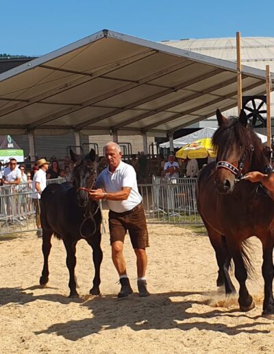 Tiere der Erlebnismesse-2