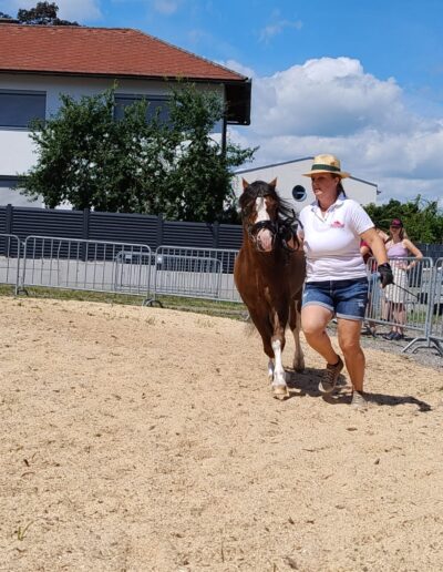 Tiere der Erlebnismesse-3