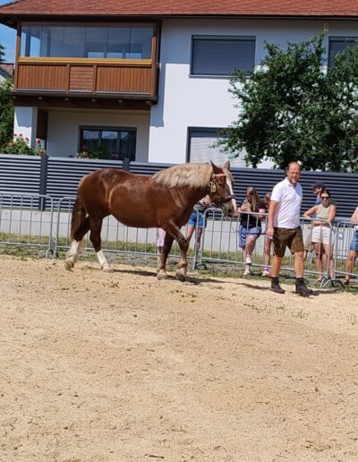 Tiere der Erlebnismesse-8