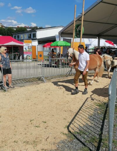 Tiere der Erlebnismesse-16