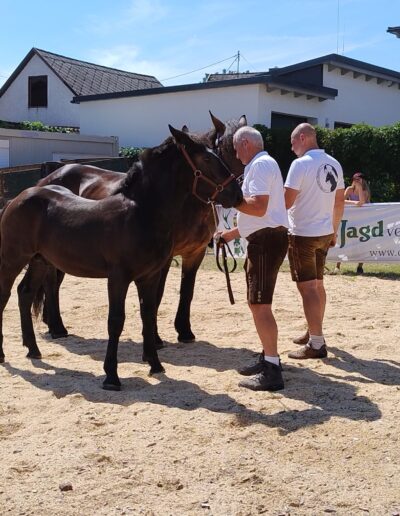 Tiere der Erlebnismesse-25