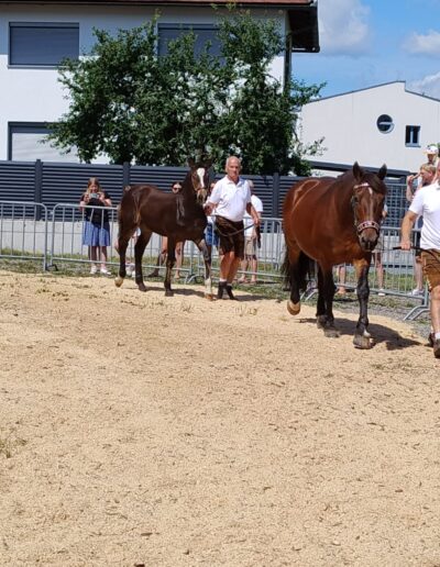 Tiere der Erlebnismesse-28