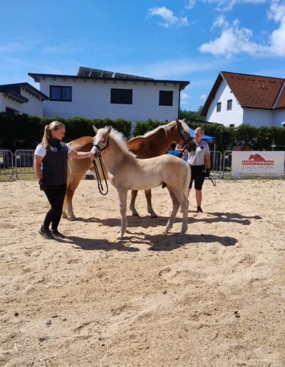 Tiere der Erlebnismesse-29