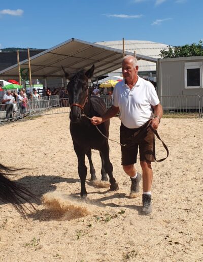 Tiere der Erlebnismesse-32