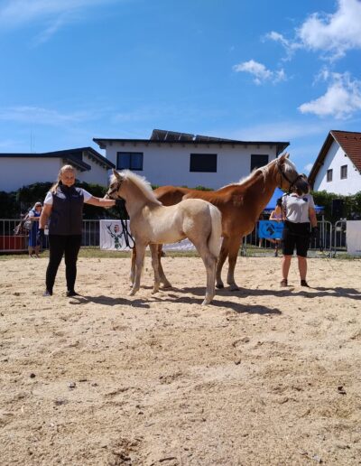 Tiere der Erlebnismesse-36