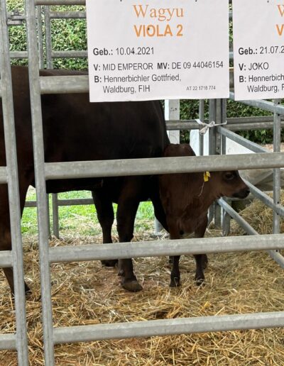 Tiere der Erlebnismesse-41