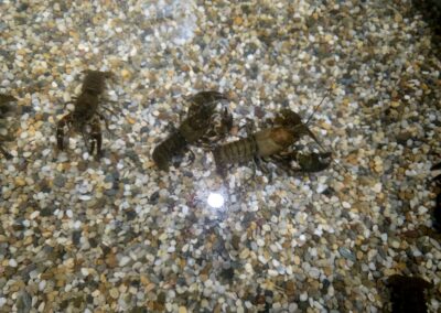 Erlebnismesse 2025 Start & Eröffnung