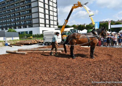 Erlebnismesse & Wiesn 2025