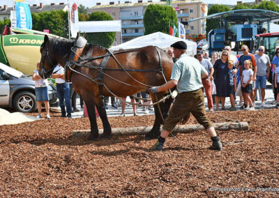 Erlebnismesse & Wiesn 2025