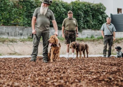 Messe Freistadt Freigelände 2025