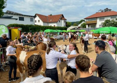 Mühlviertler Wiesn 2026 - Innovatives Mühlviertel - Rinder
